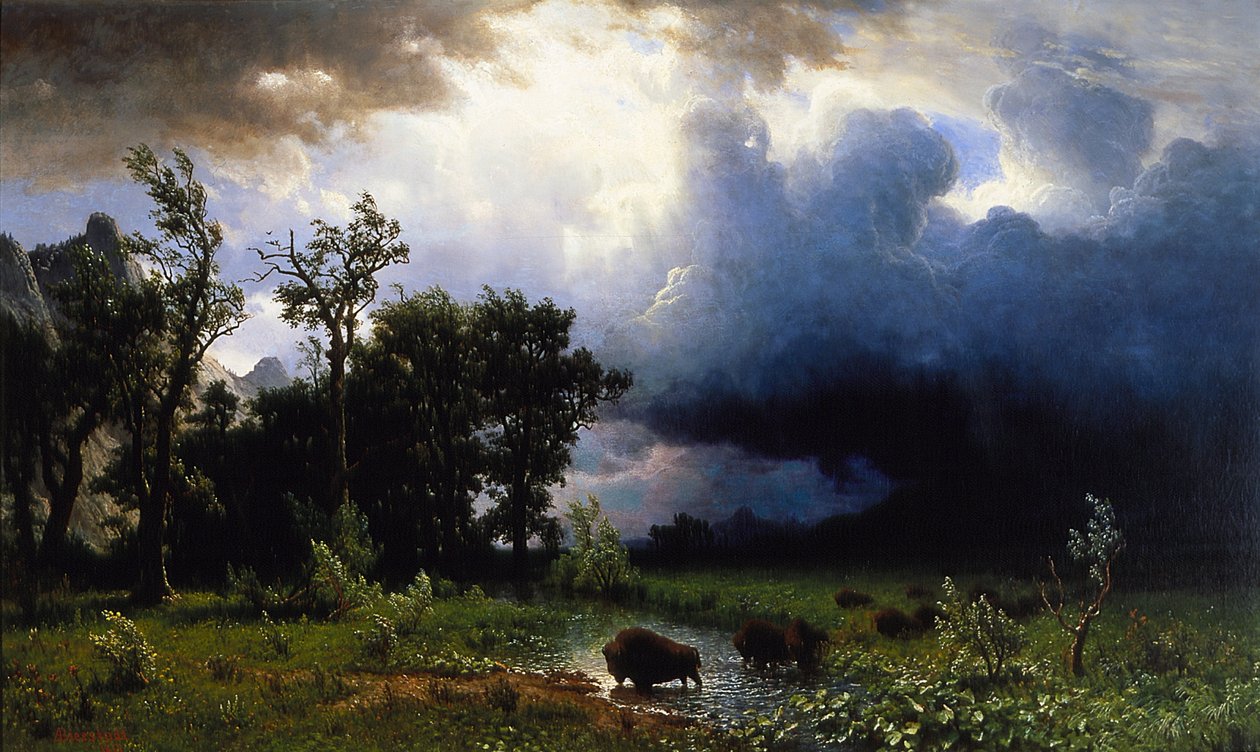 Buffalo Trail, Nadciągająca burza autorstwa Albert Bierstadt