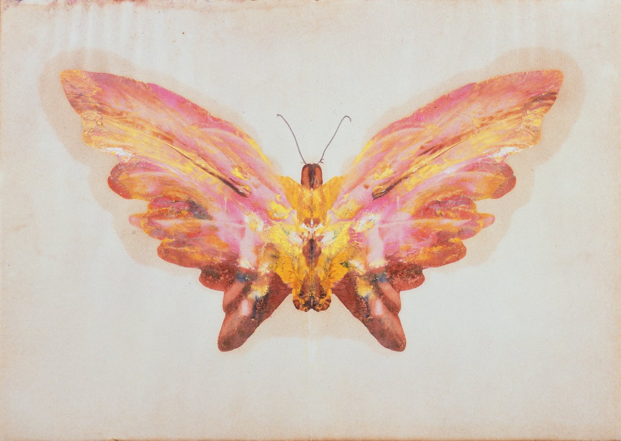 Motyl (olej i ołówek na papierze) autorstwa Albert Bierstadt