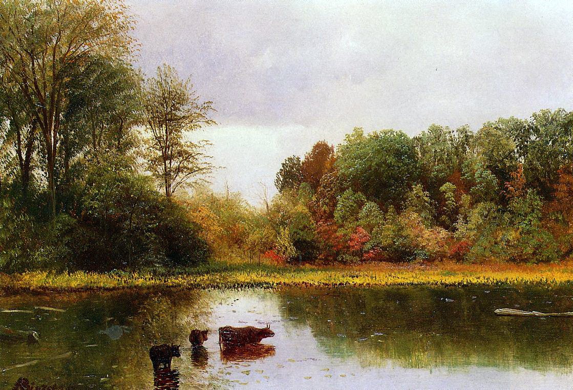 Krowy podlewanie w krajobrazie autorstwa Albert Bierstadt