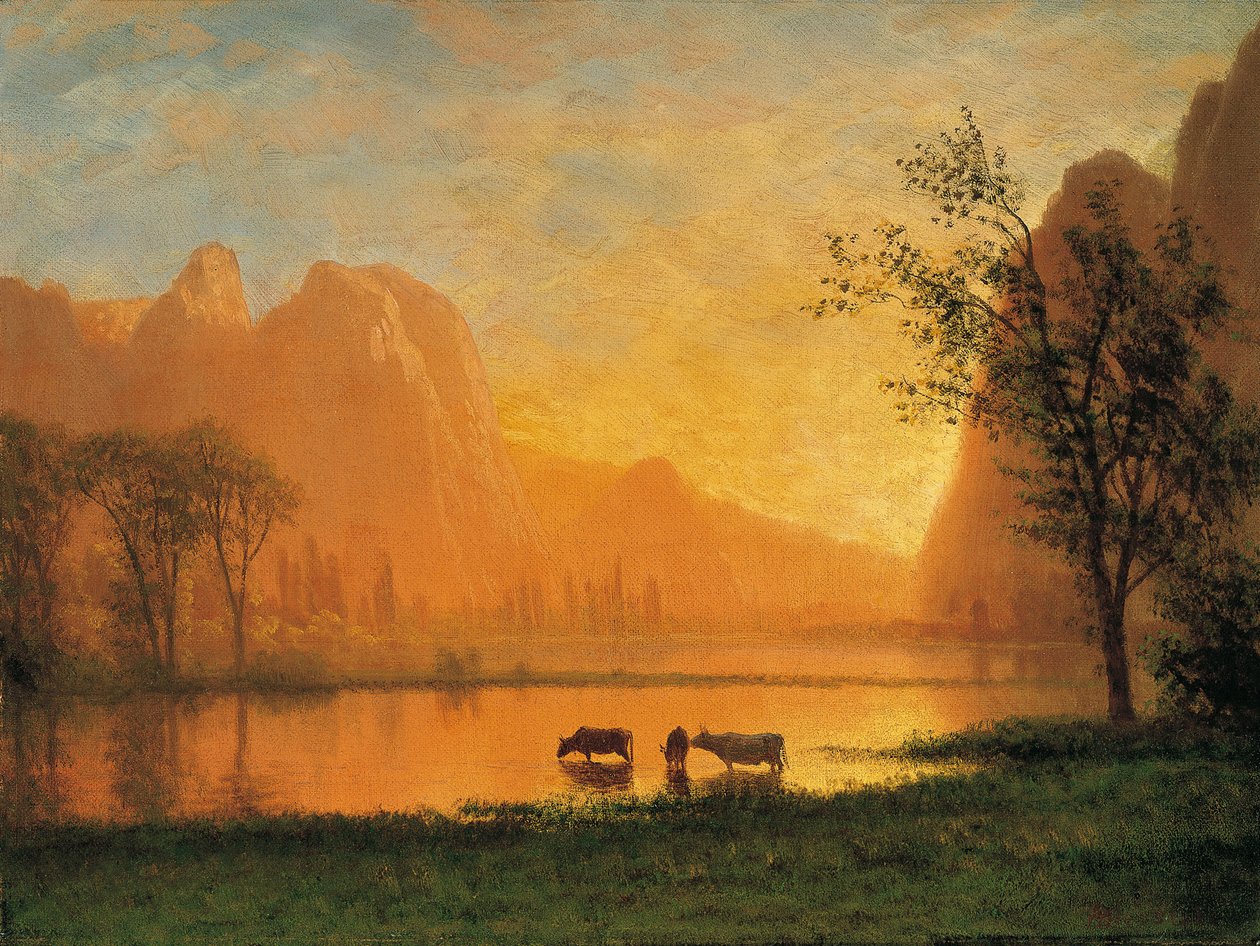 Słońce w Yosemite autorstwa Albert Bierstadt