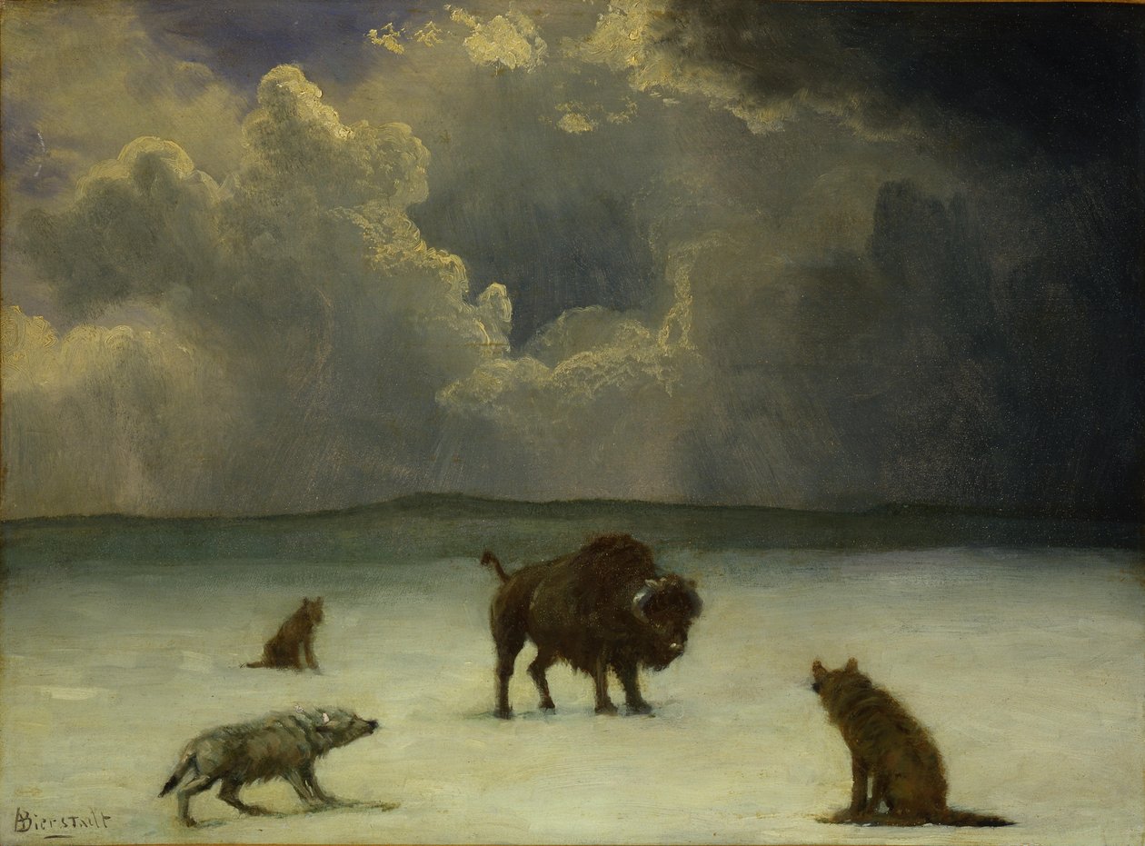 Uwięziony autorstwa Albert Bierstadt