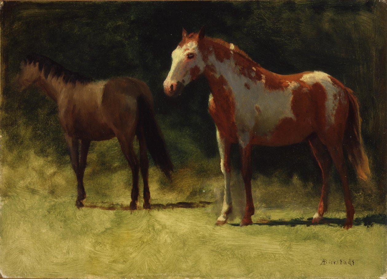 Dwa konie autorstwa Albert Bierstadt