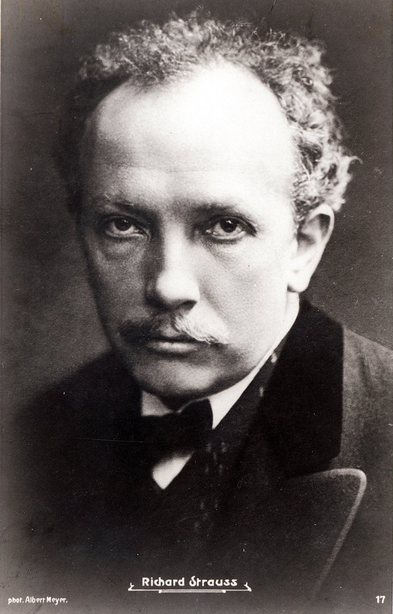 Ryszard Strauss autorstwa Albert Meyer
