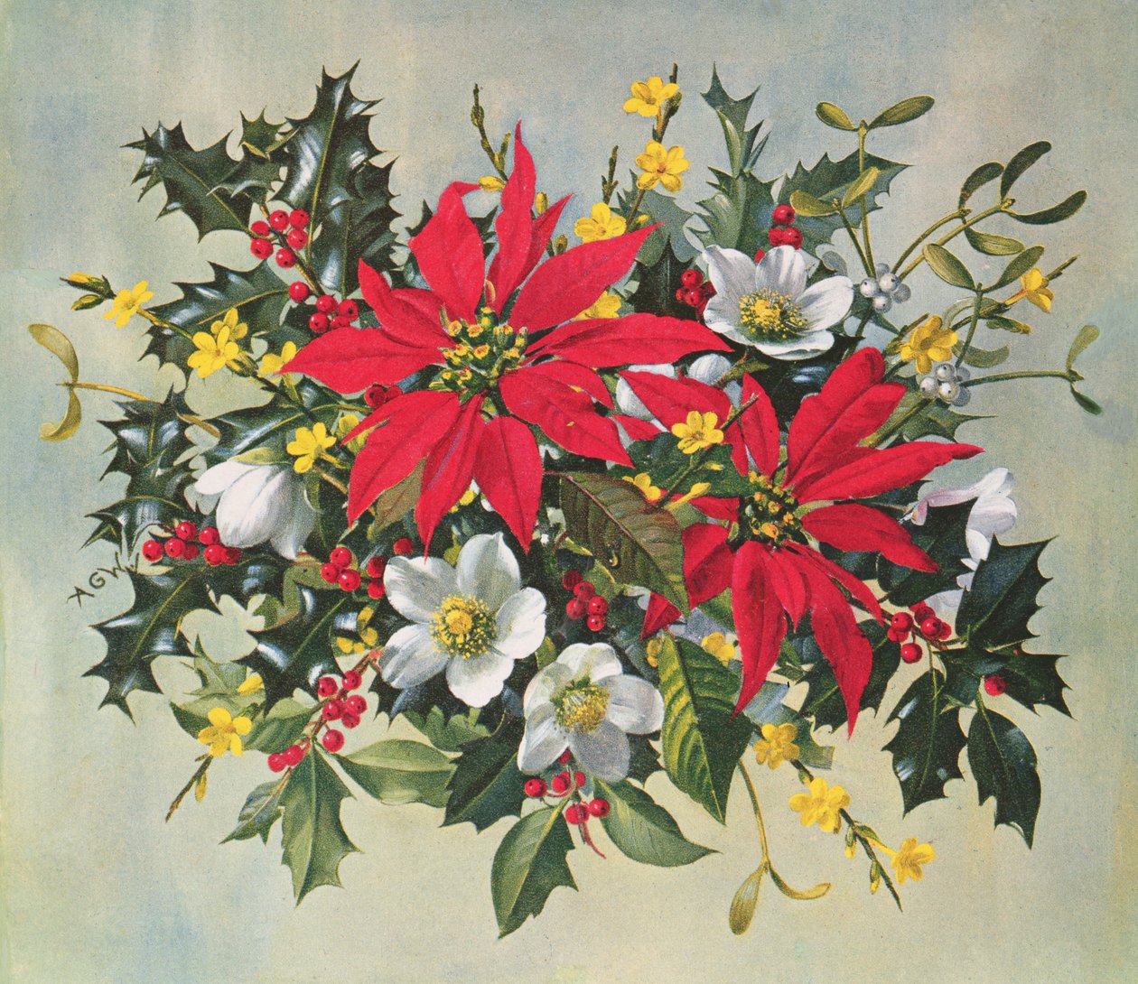 PB274 Świąteczne Kwiaty autorstwa Albert Williams