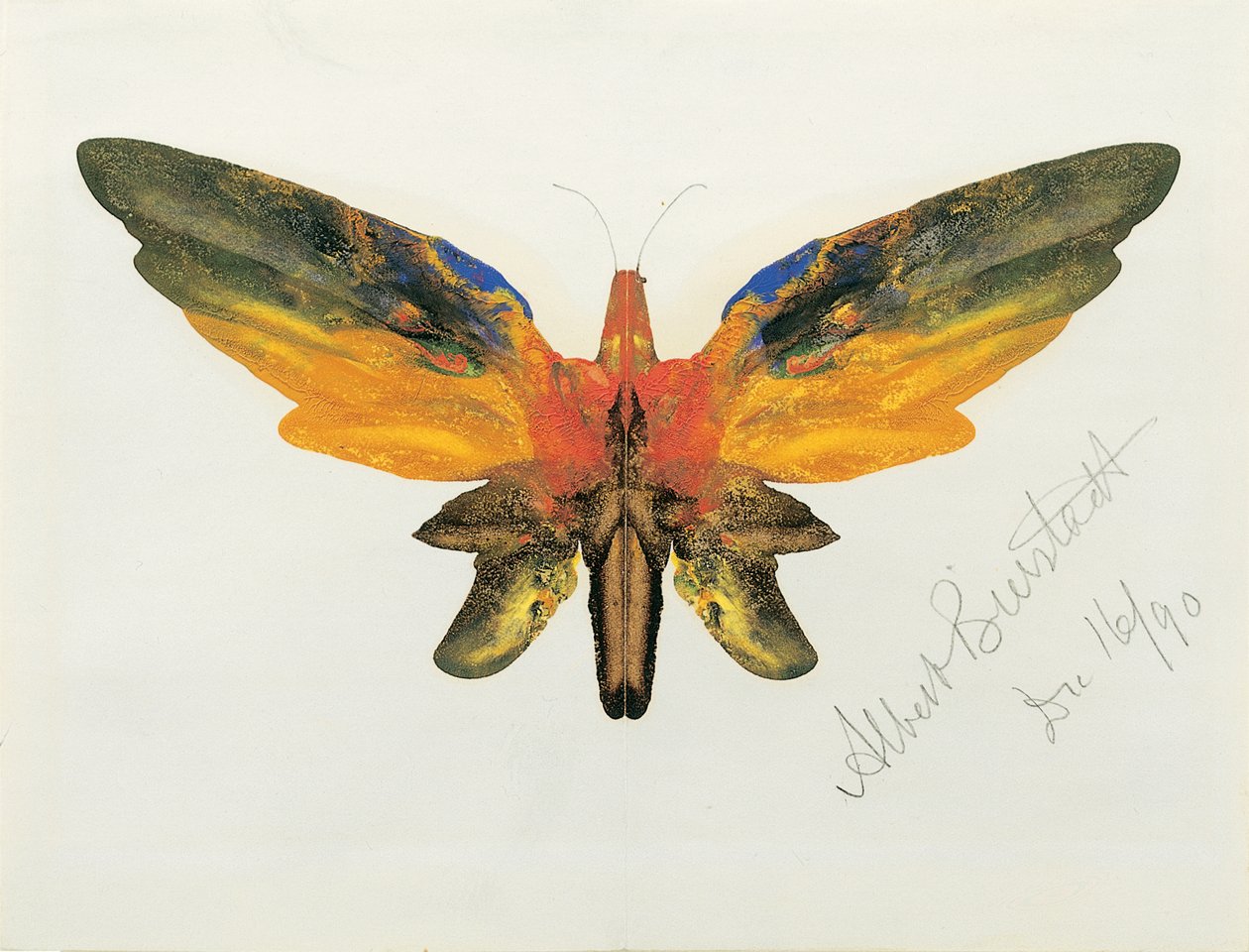 Motyl, 1890 autorstwa Albert Bierstadt