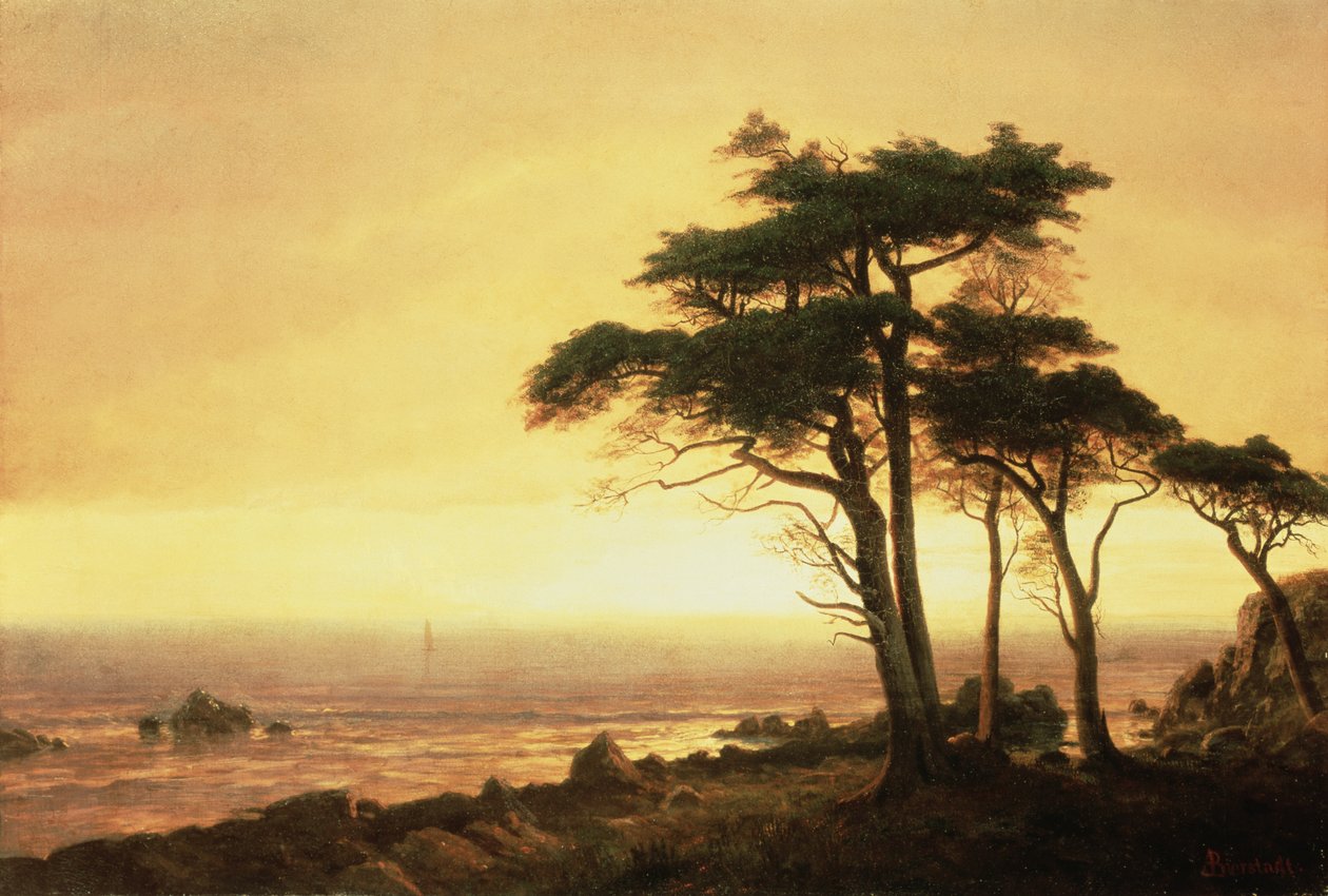 Wybrzeże Kalifornii (olej na płótnie) autorstwa Albert Bierstadt