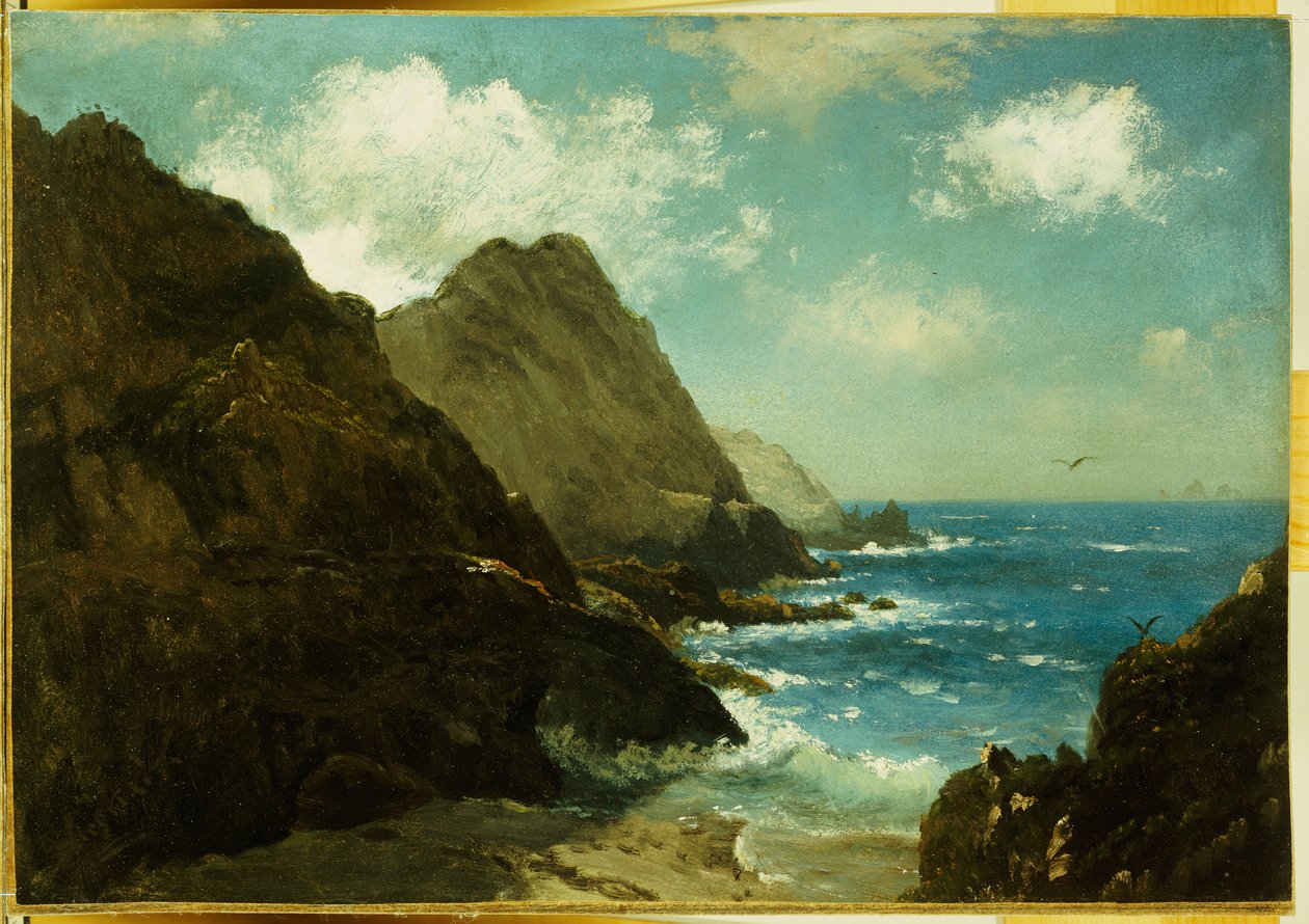 Wyspy Farallon autorstwa Albert Bierstadt