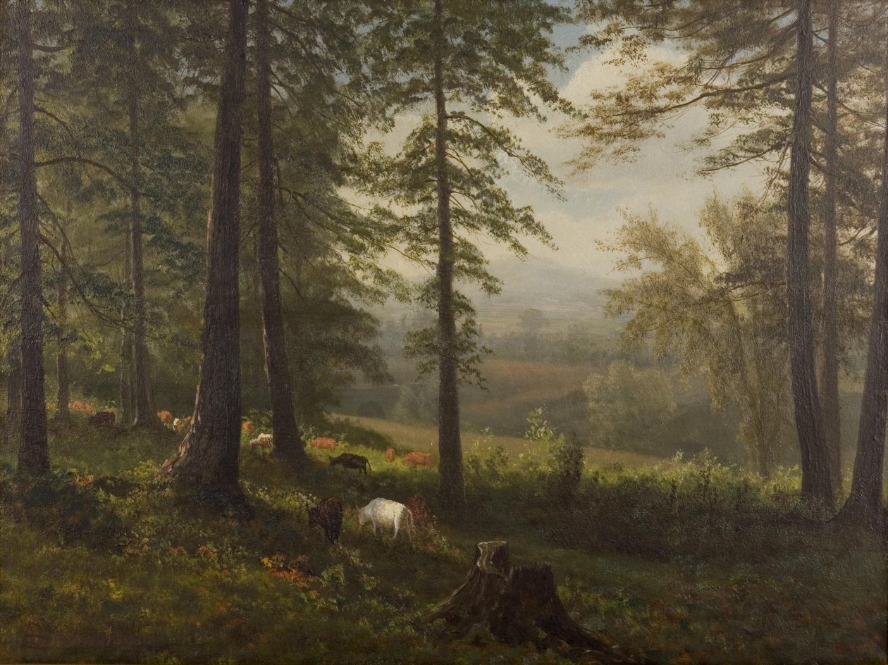 Widok na polanę autorstwa Albert Bierstadt