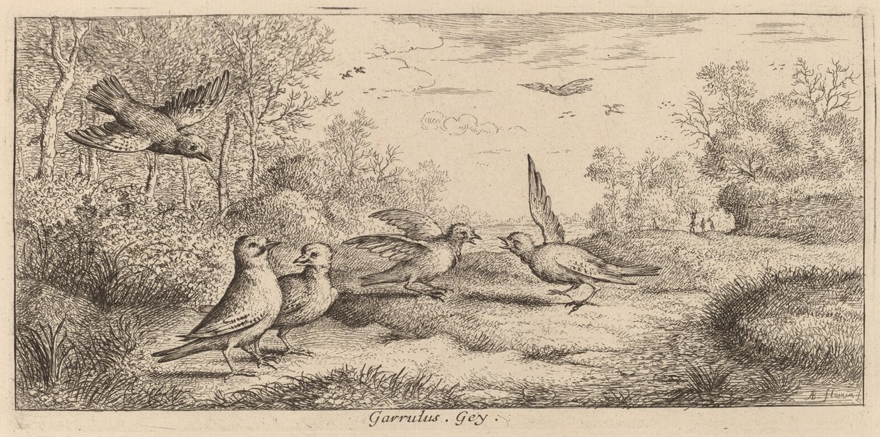 Garrulus, Jay autorstwa Albert Flamen