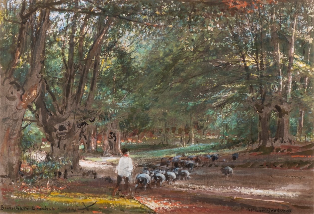 Burnham Beeches (akwarela i akwarela) autorstwa Albert Goodwin