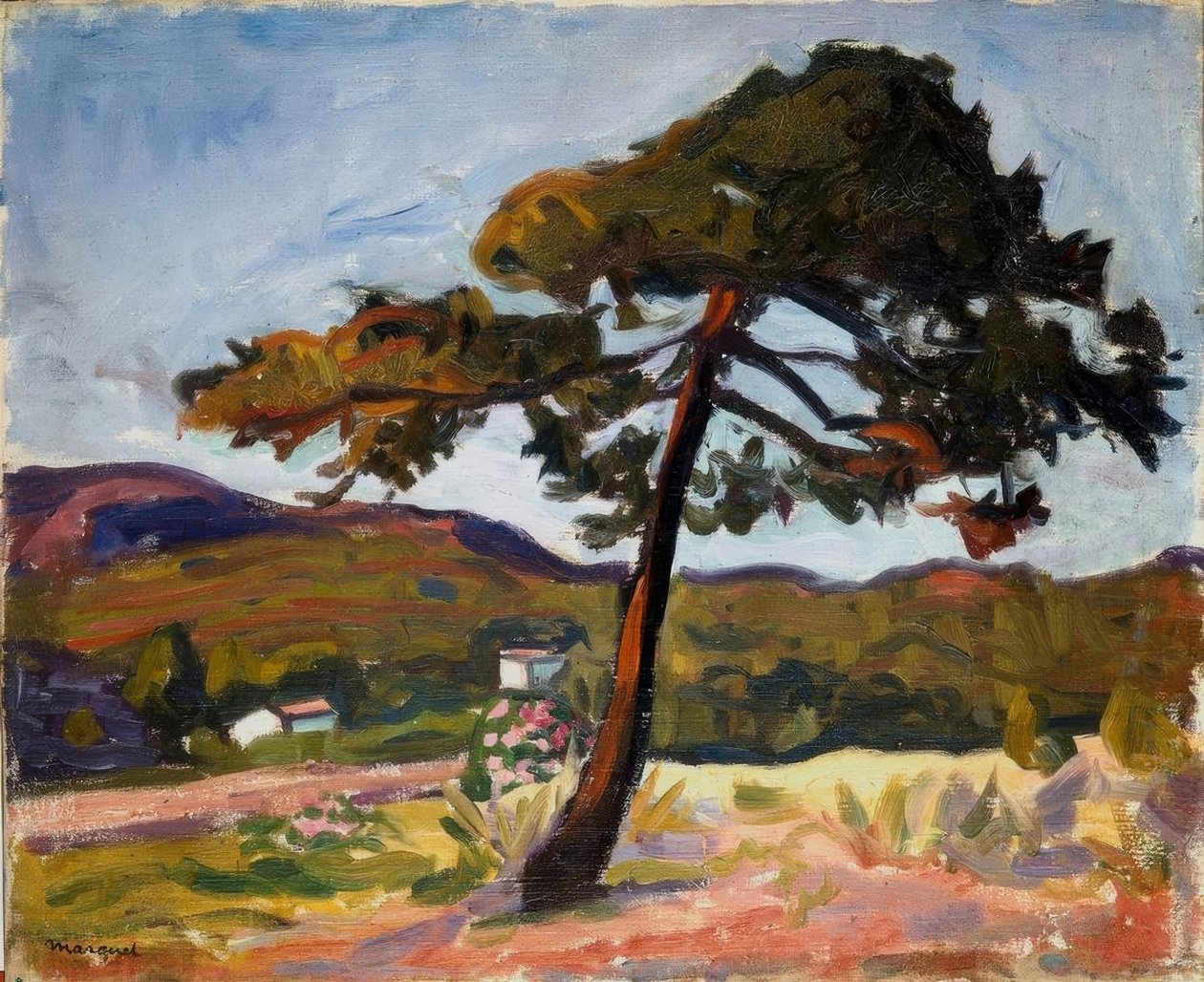 Sosna w St. Tropez autorstwa Albert Marquet