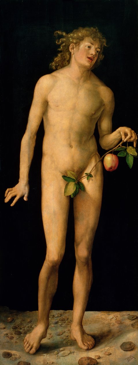 Adam, 1507 r. autorstwa Albrecht Dürer