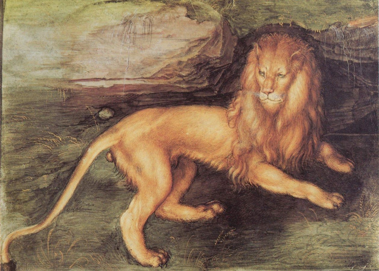 Lew autorstwa Albrecht Dürer