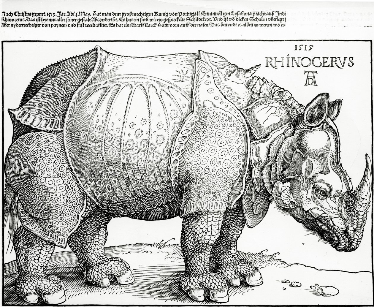 Nosorożec, 1515 autorstwa Albrecht Dürer