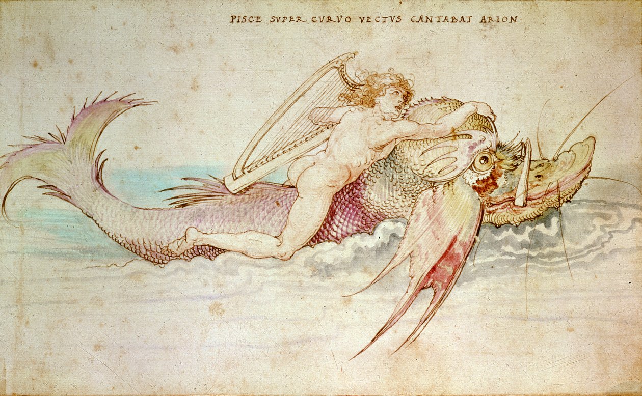 Arion, 1514 r. autorstwa Albrecht Dürer