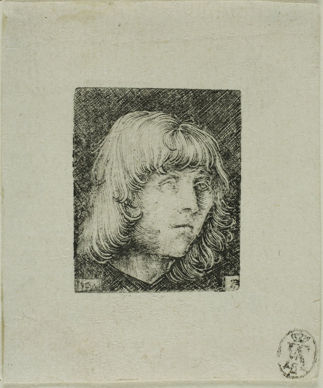 Głowa młodego mężczyzny autorstwa Albrecht Altdorfer