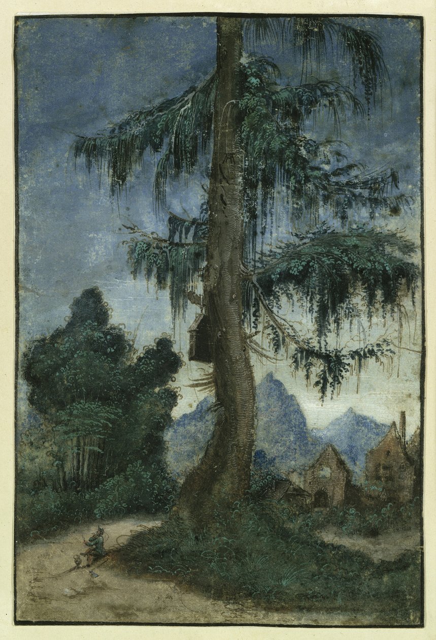 Krajobraz ze świerkiem, ok. 1522 r. autorstwa Albrecht Altdorfer