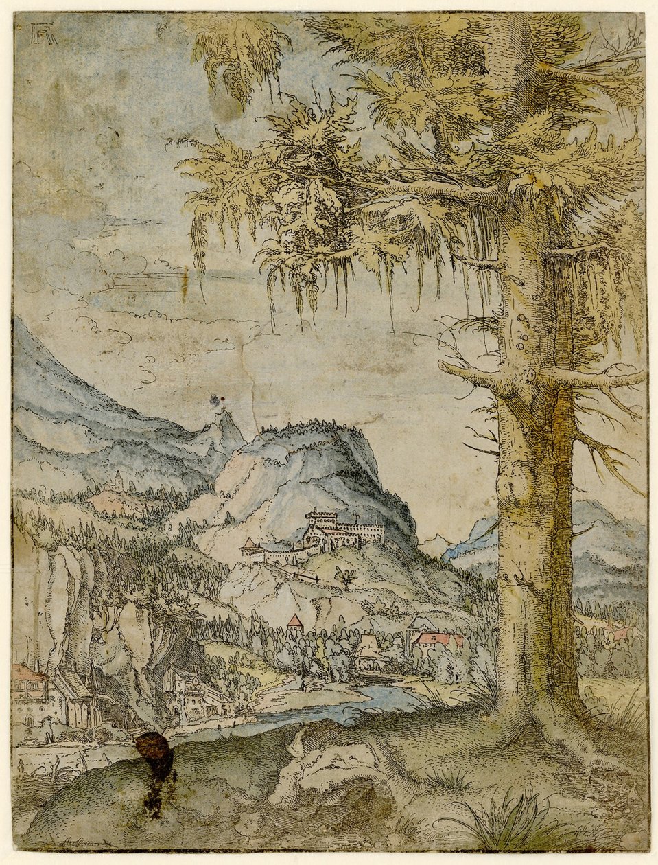 Świerk Duży, ok. 1517-1520. autorstwa Albrecht Altdorfer
