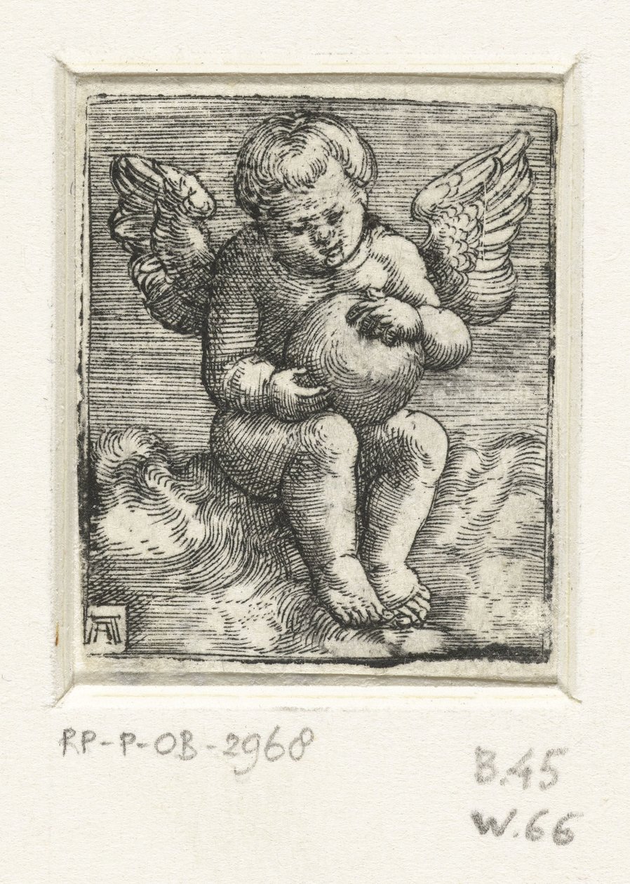 Putto z piłką autorstwa Albrecht Altdorfer