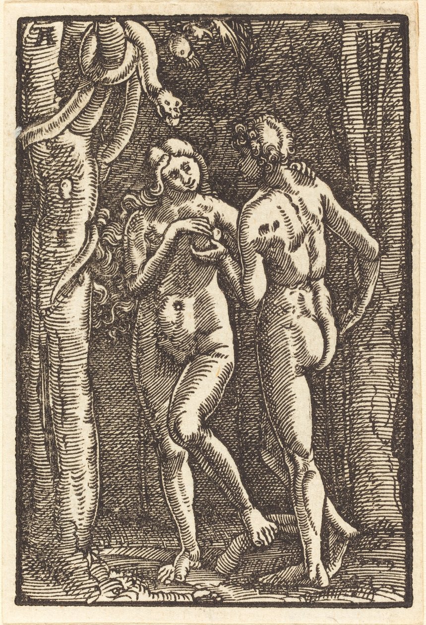 Upadek człowieka autorstwa Albrecht Altdorfer