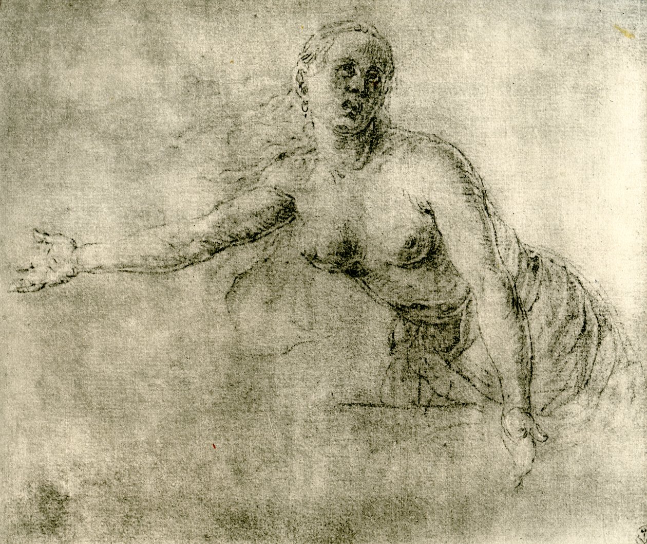 Studium, 1913 autorstwa Albrecht Dürer