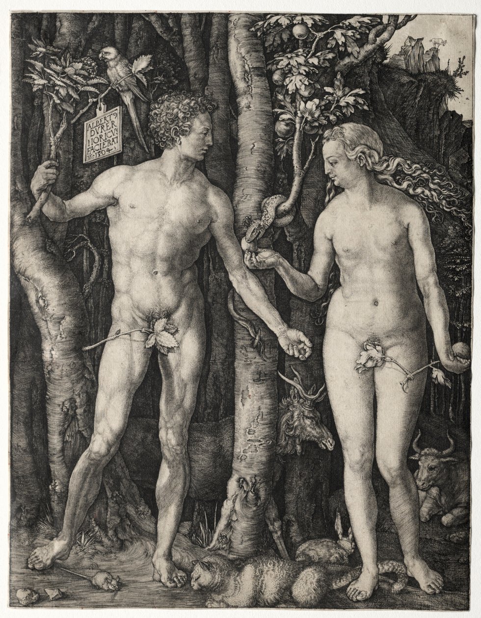 Adam i Ewa autorstwa Albrecht Dürer