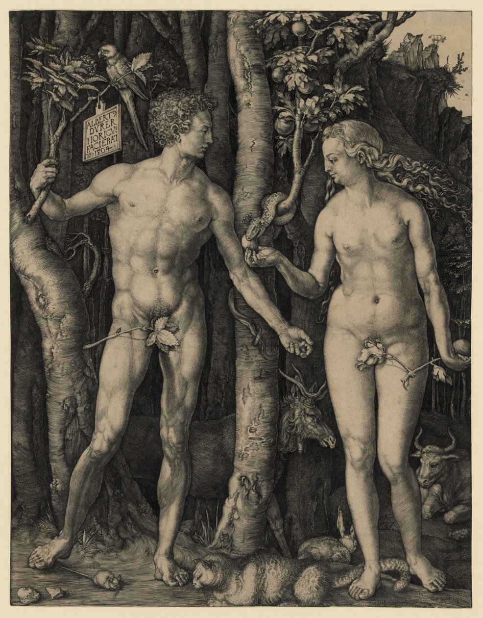 Adam i Ewa autorstwa Albrecht Dürer
