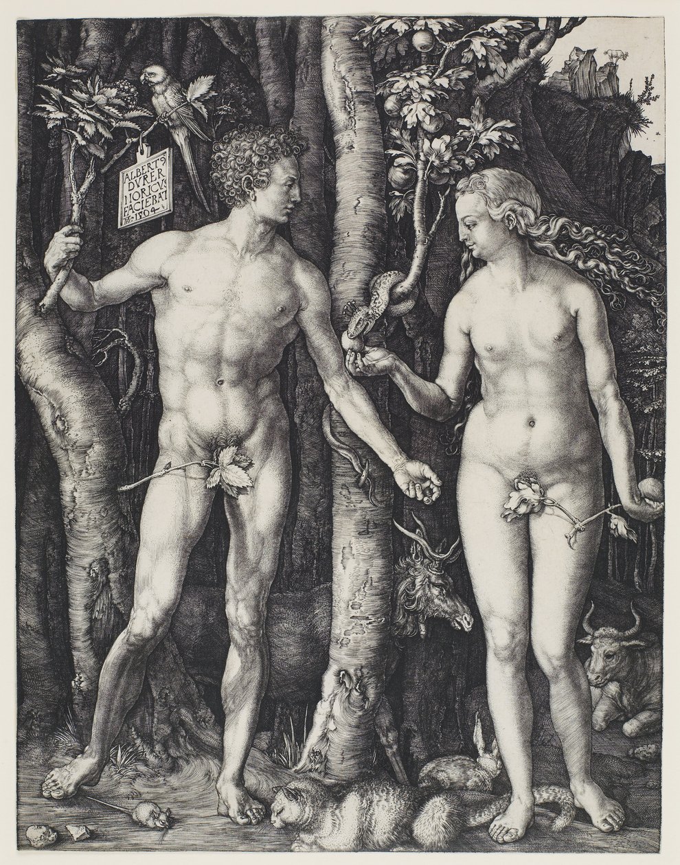 Adam i Ewa autorstwa Albrecht Dürer