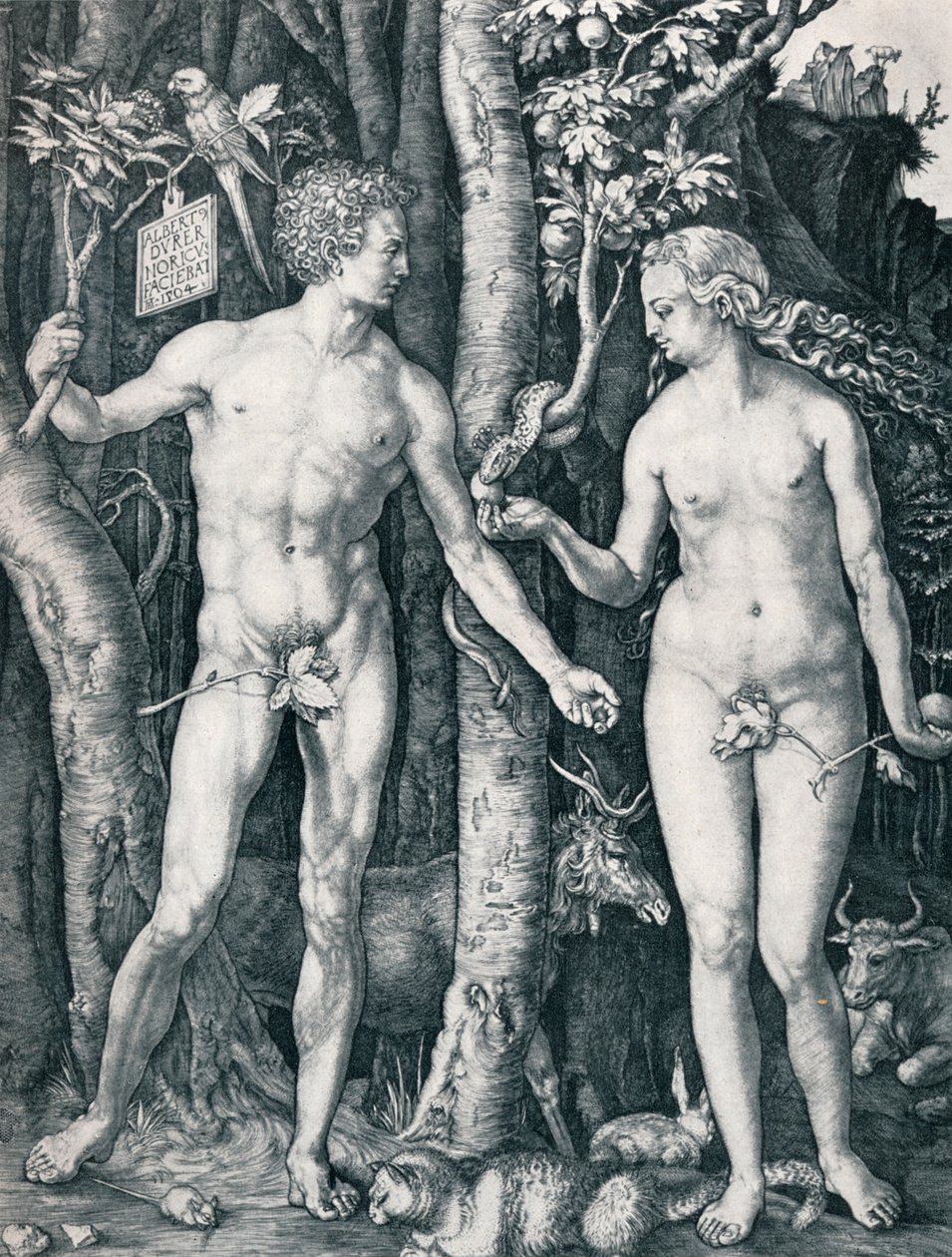 Adam i Ewa, 1504 1906 autorstwa Albrecht Dürer