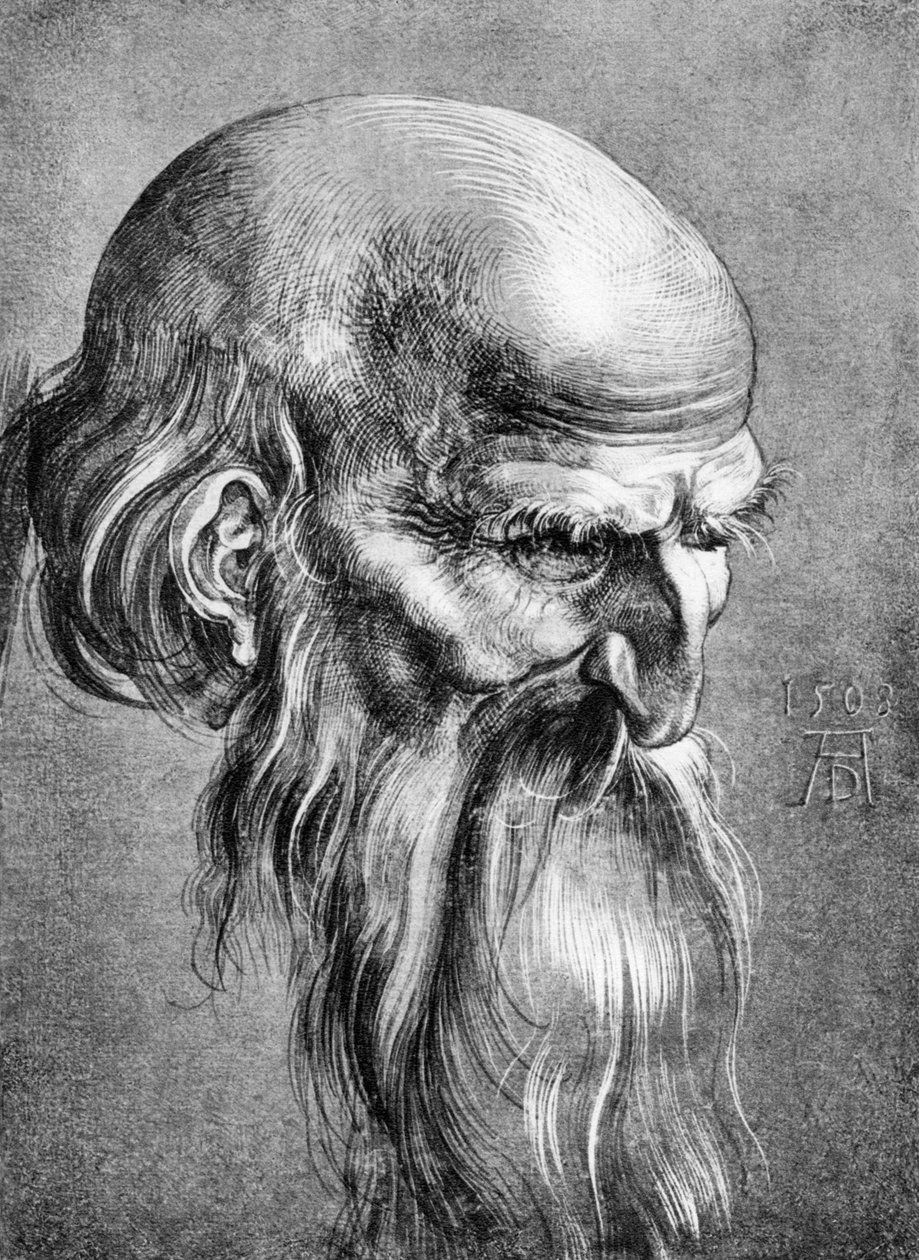 Apostoł, 1508, 1936 autorstwa Albrecht Dürer