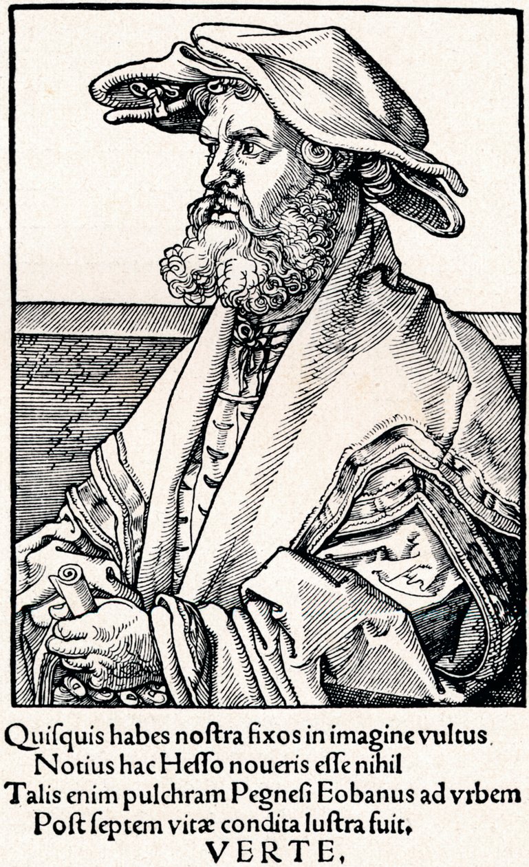 Eobanus Hesse, 1527 1906 autorstwa Albrecht Dürer