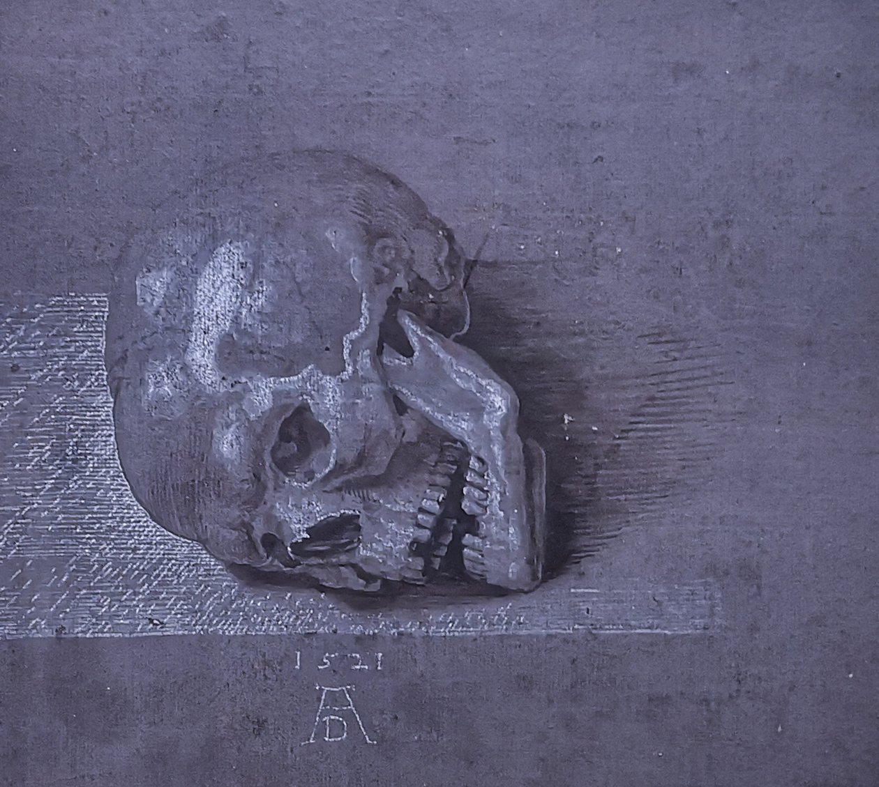 Niemiecki: Totenschädel. autorstwa Albrecht Dürer