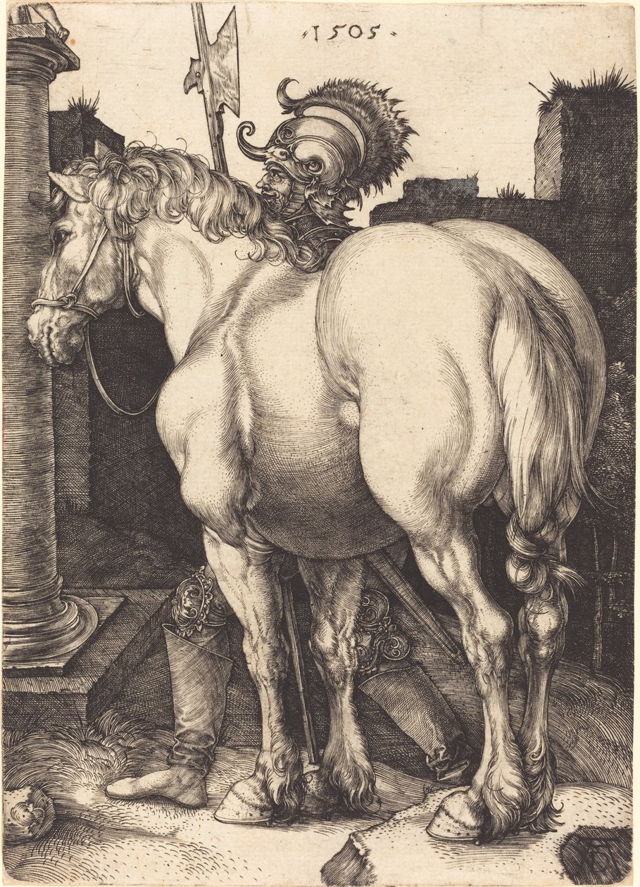 Duży koń autorstwa Albrecht Dürer
