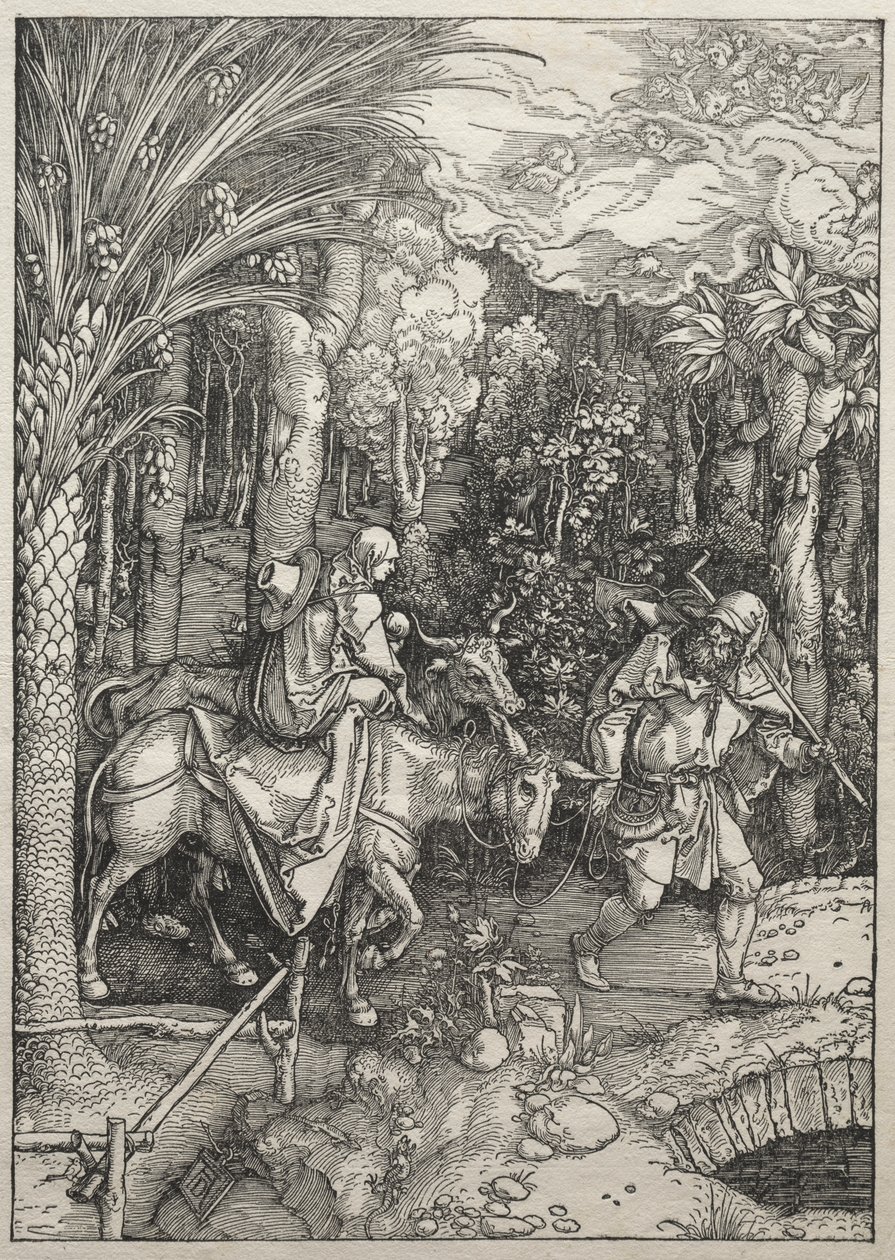 Życie Dziewicy: Ucieczka do Egiptu autorstwa Albrecht Dürer