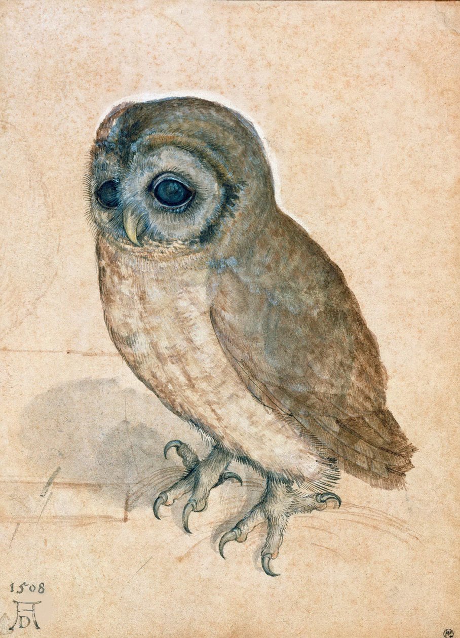 Pójdźka, 1508. autorstwa Albrecht Dürer
