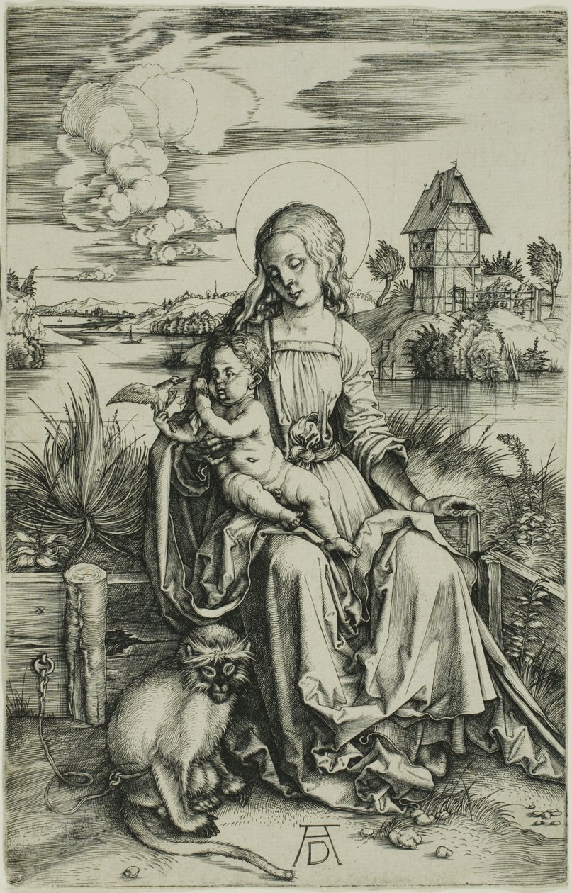 Madonna z Małpą autorstwa Albrecht Dürer