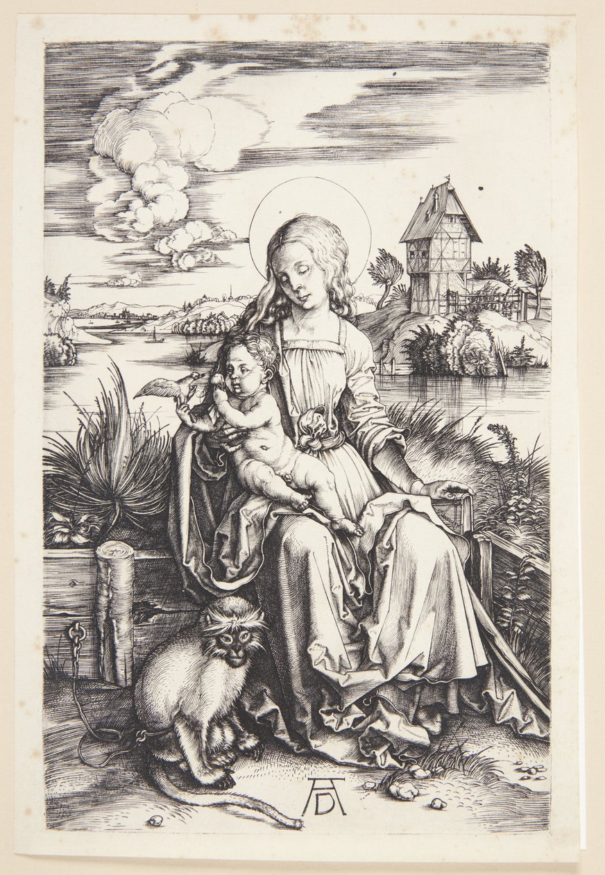 Madonna z małpą autorstwa Albrecht Dürer