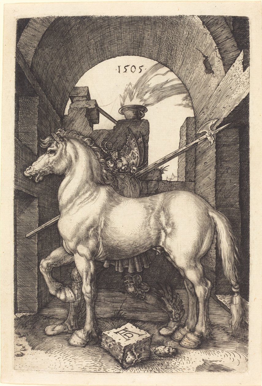 Mały koń autorstwa Albrecht Dürer