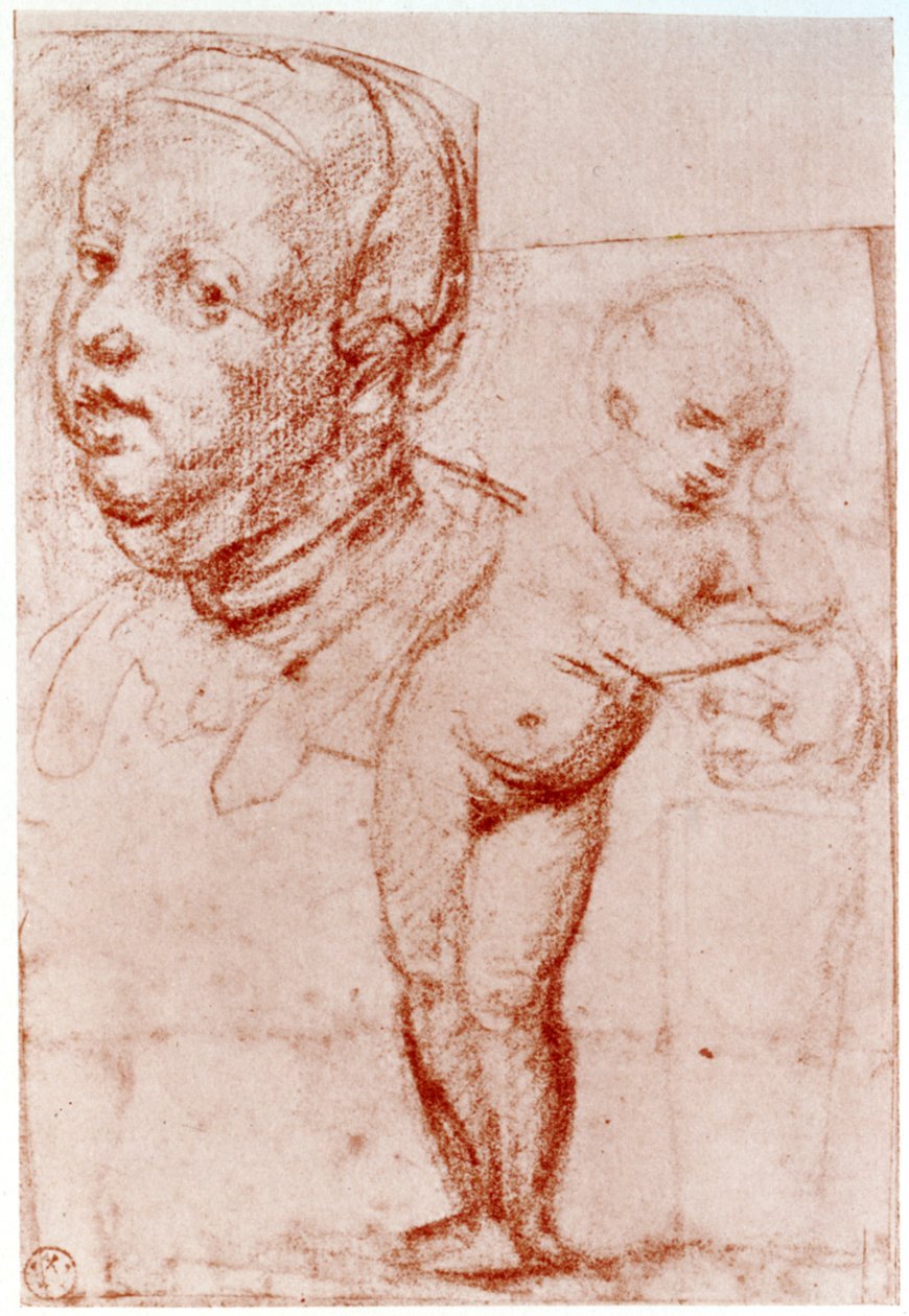 Studia, 1913. autorstwa Albrecht Dürer