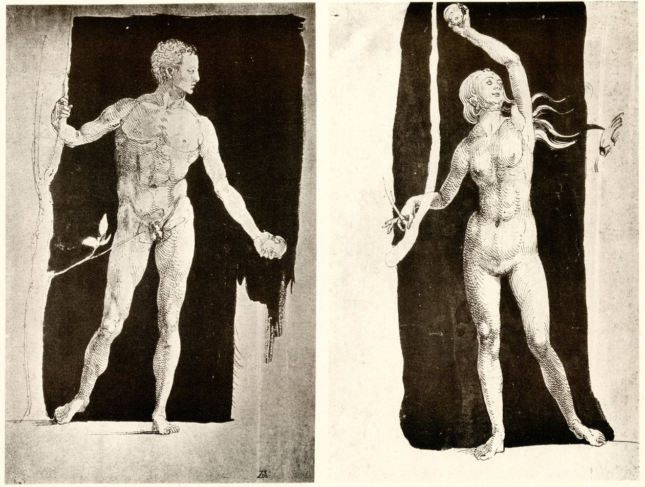Studia o Adamie i Ewie autorstwa Albrecht Dürer