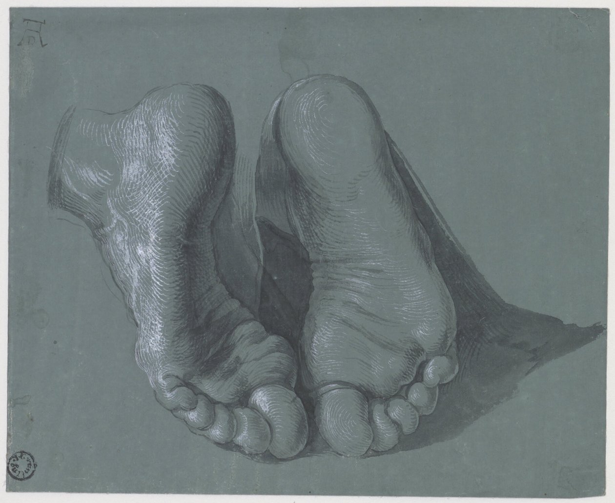 Studium Dwóch Stóp, ok. 1508 autorstwa Albrecht Dürer