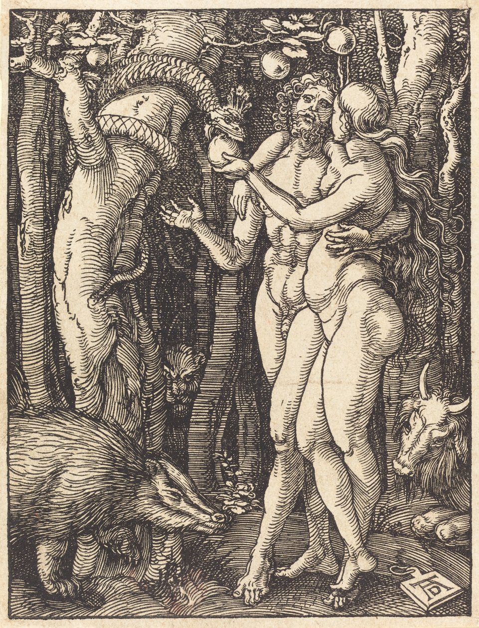 Upadek człowieka, prawdopodobnie ok. 15091510. autorstwa Albrecht Dürer