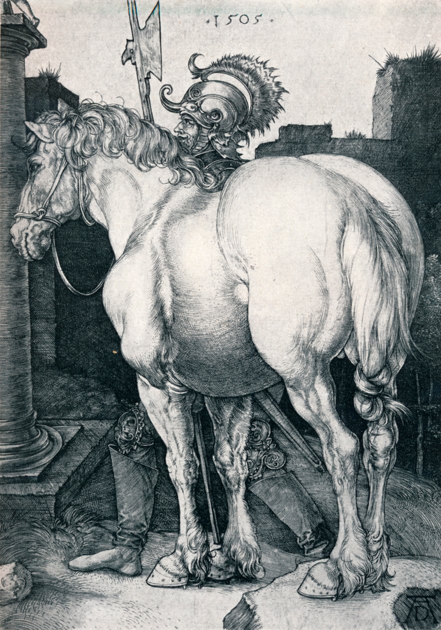 Duży koń, 1505 1906 autorstwa Albrecht Dürer