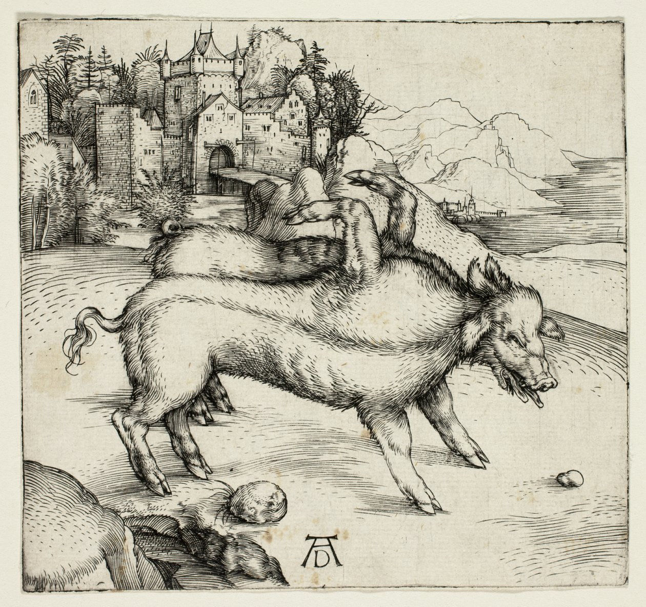 Potworna Siecha Landsera autorstwa Albrecht Dürer