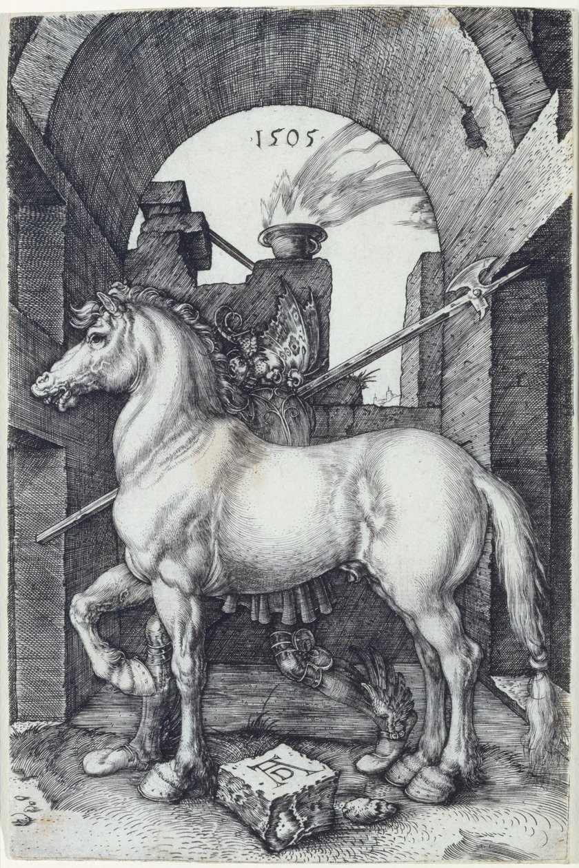 Mały Koń, 1505 autorstwa Albrecht Dürer