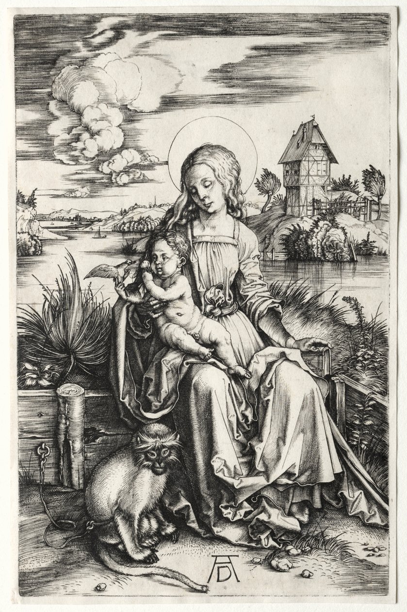 Dziewica i dziecko z małpą autorstwa Albrecht Dürer