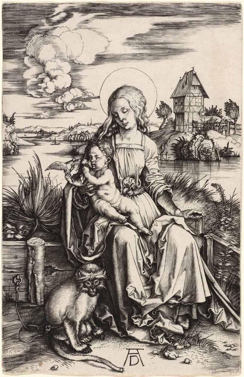 Dziewica i Dziecko z Małpą autorstwa Albrecht Dürer
