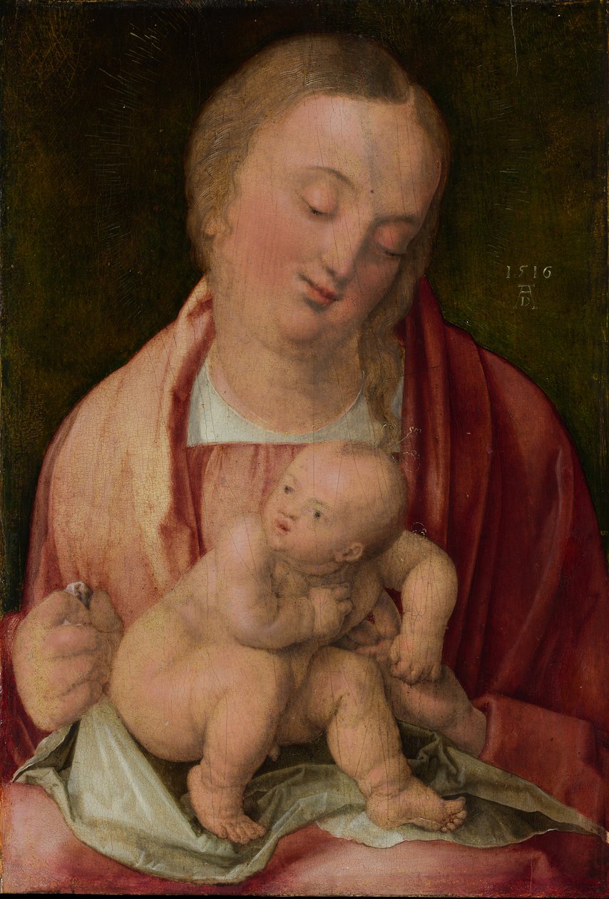 Dziewica z Dzieciątkiem, 1516. autorstwa Albrecht Dürer