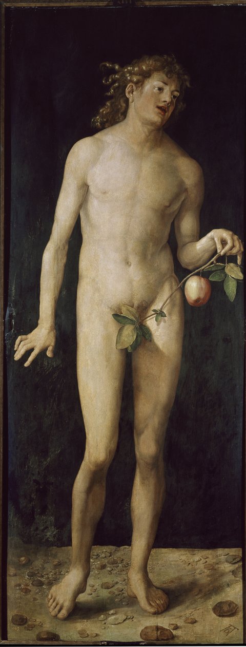 Adam (olej na drewnie autorstwa Albrecht Dürer