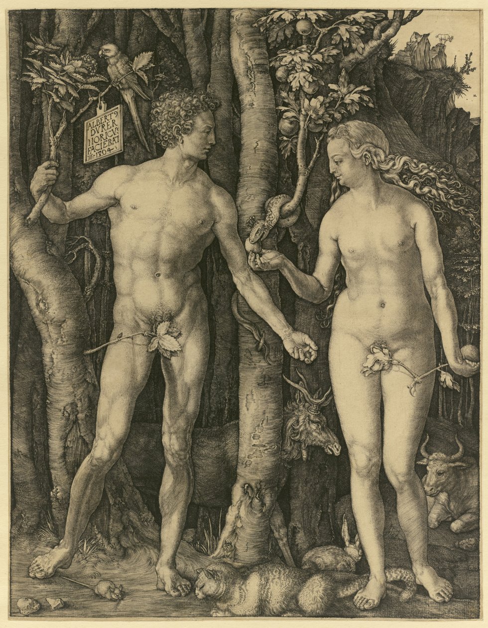 Adam i Ewa autorstwa Albrecht Dürer